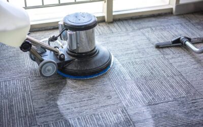 Why professional carpet cleaning is a must