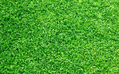 Why synthetic turf is the popular alternative to real grass