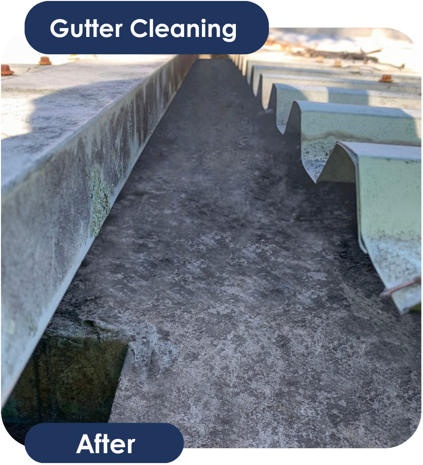 Gutter Cleaning After