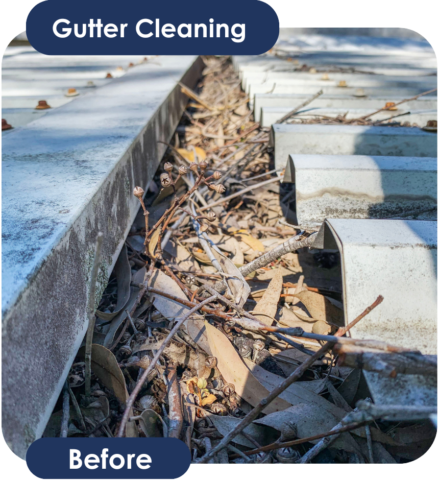 Gutter Cleaning Before